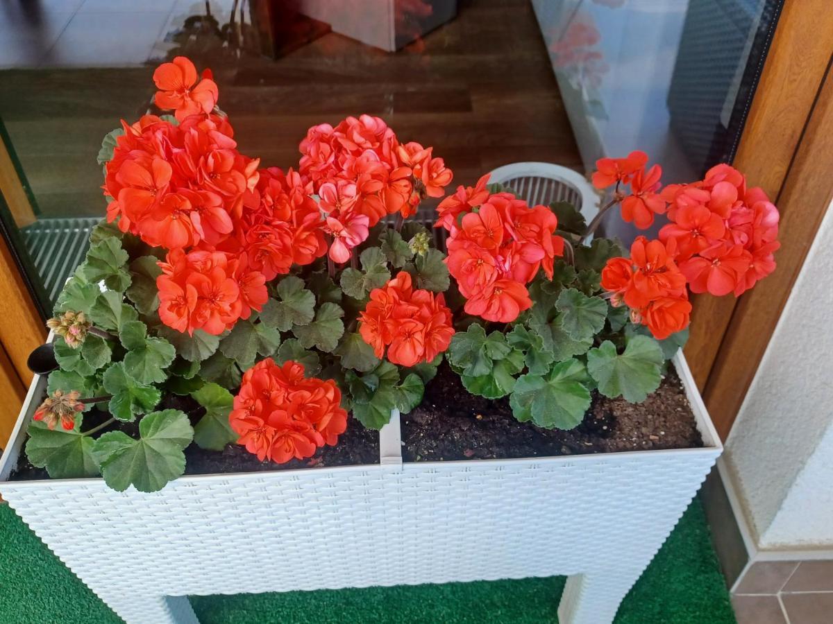 Apartament Z Widokiem Na Morze Dziwnowek Bagian luar foto