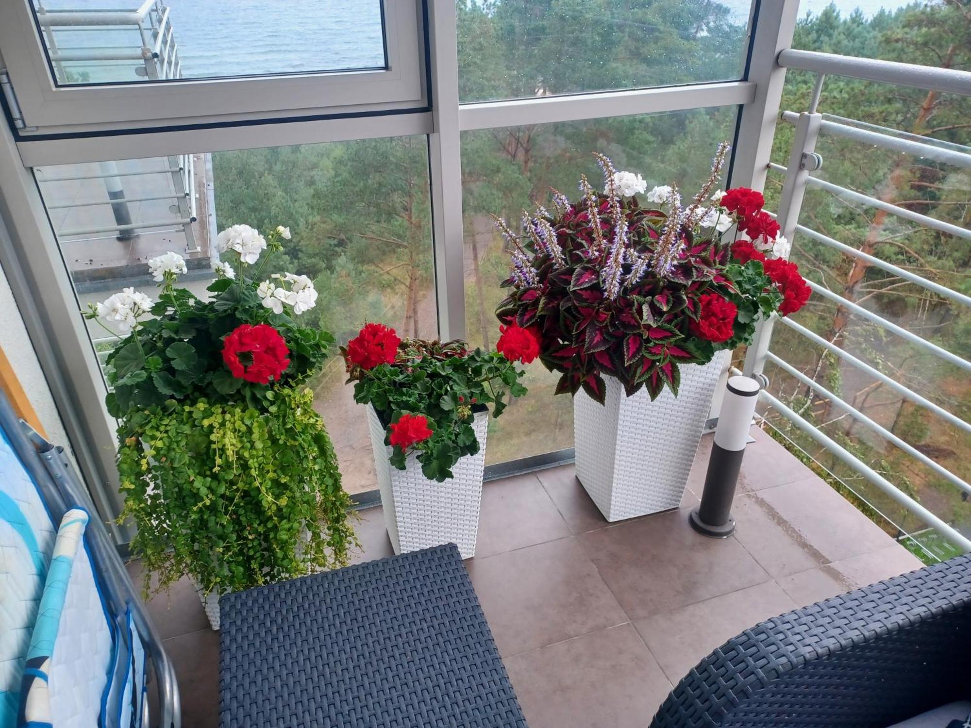 Apartament Z Widokiem Na Morze Dziwnowek Ruang foto